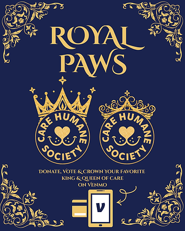 Cover-3.png
