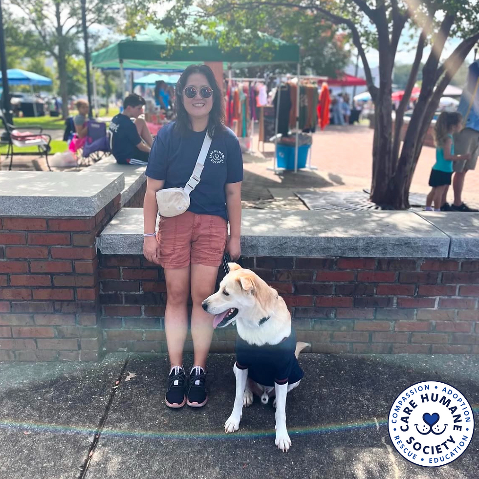 Marie and Bean (still available for adoption!)
