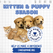 Bundle of Joy or a Litter Too Many? Let’s Talk Kitten and Puppy Season