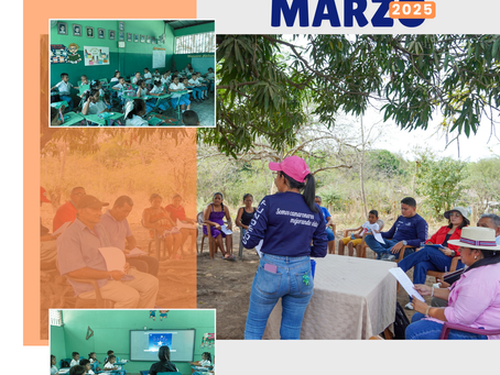 Boletín informativo marzo 2025