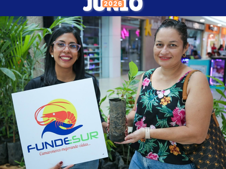 Boletín Informativo Junio 2026