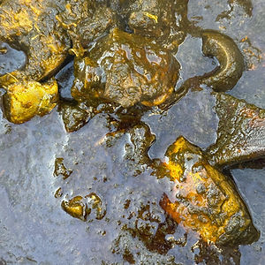 Black Soup