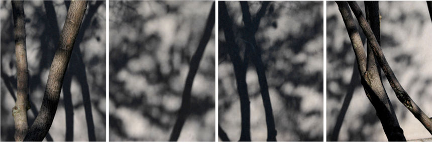GRAY SHADOWS