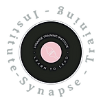 Logo for Synapse Training Institute By EyE PunE