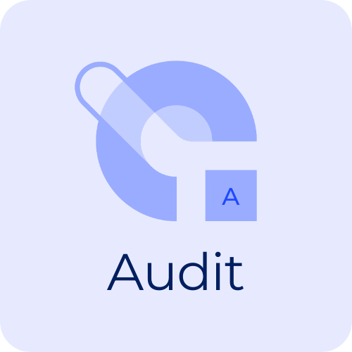 Audit.png