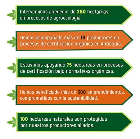 Mesa de trabajo 1.png