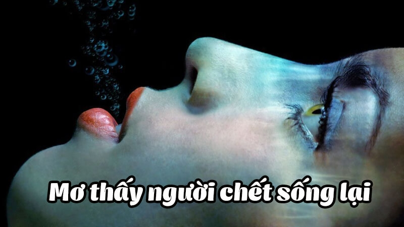 Mơ thấy chết đi sống lại đánh số mấy trong lô đề
content media