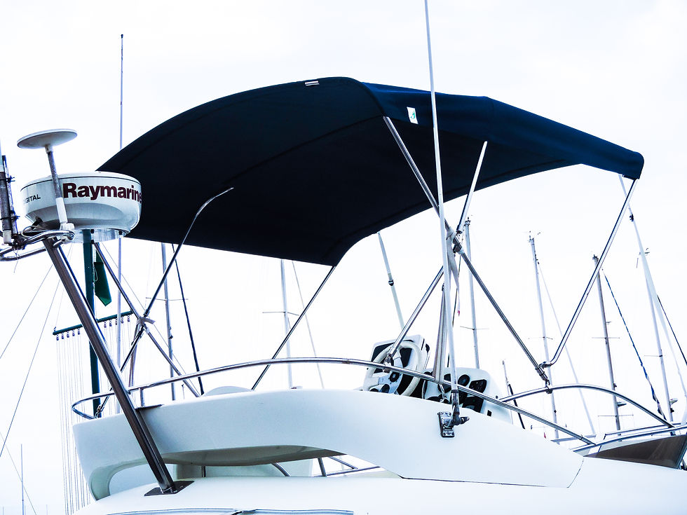 BIMINI