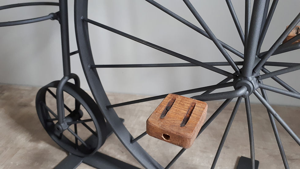 Thumbnail: "Vélocipède des Fleurs" - Hoge bi / Vélocipède