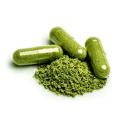 Moringa.webp