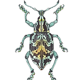 curcu_edited_edited.png