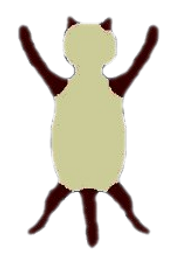 colourpoint.png