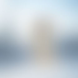 Comment Préserver Son Chat en Hiver