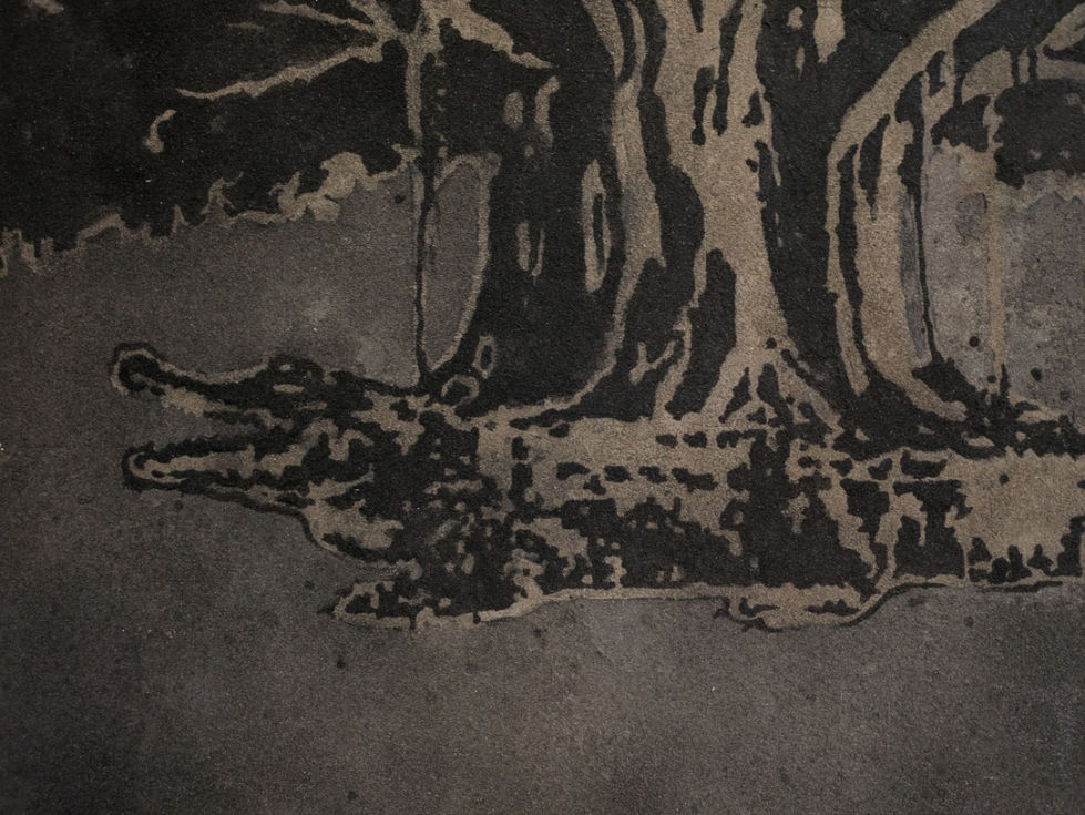 image66