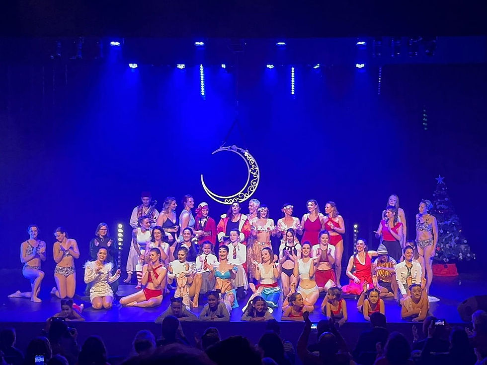 Gala Pole Dance cerceau aérien