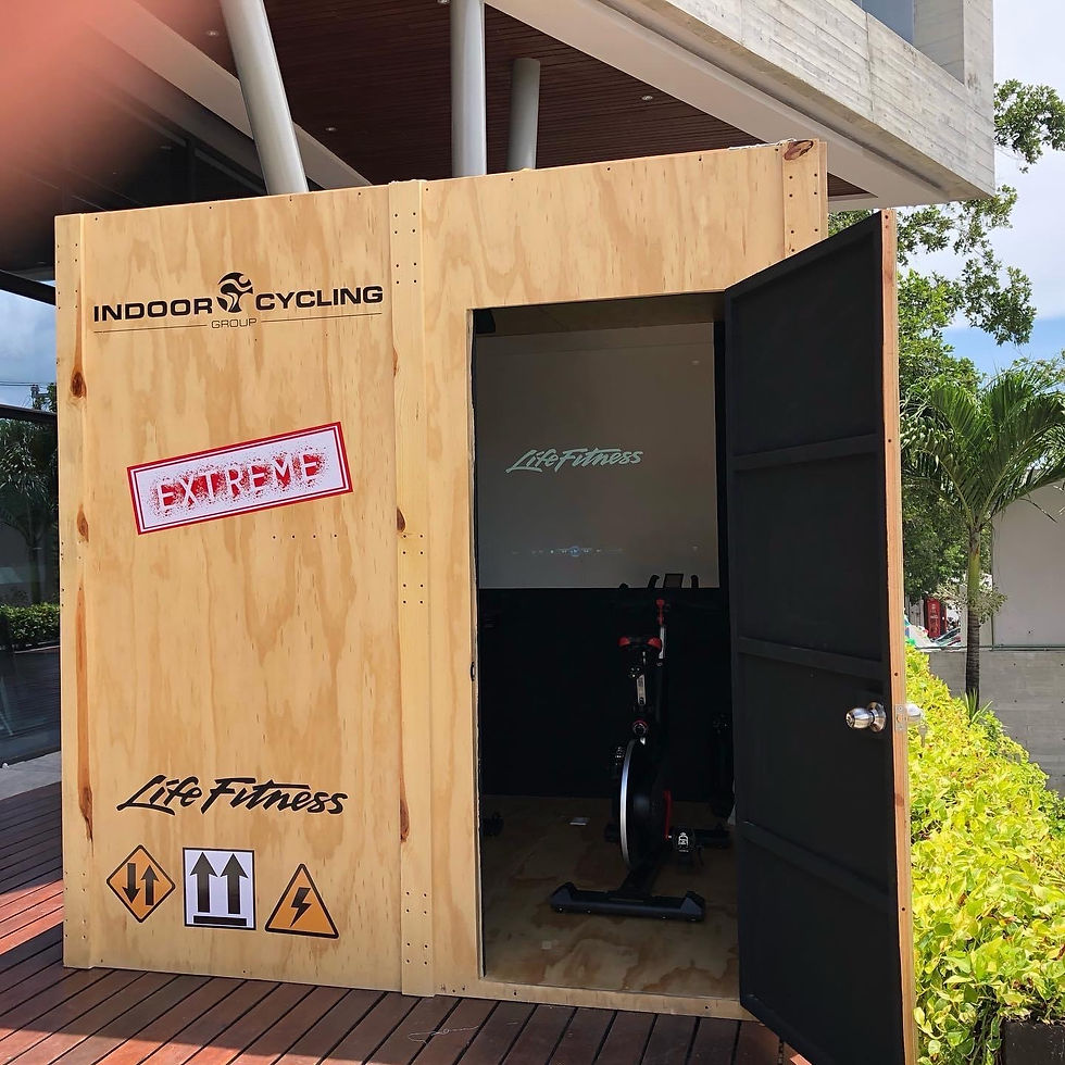 SENSORAMA LIFE FITNESS