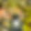 Thumbnail: DETOX Face Mask