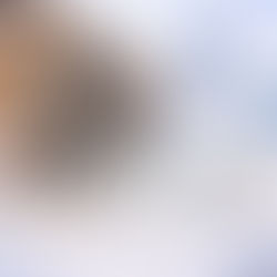 Project Development: doing it right the first time