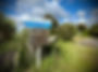 IMG_9372.jpeg