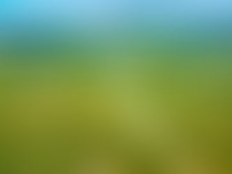 FEMA Flood Maps Don't Cover Texas' Longhorn-Sized Flood Risk