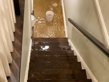 How to Prevent Mold Growth After a Minor Flood