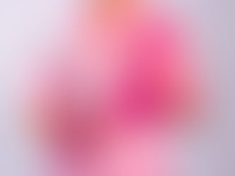 Why Bleach Won't Get Rid of Sheetrock Mold