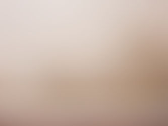 The Dangers of Sheetrock Mold: Types, Causes & Symptoms