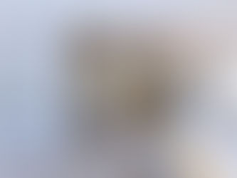 EnduraFlood: The Best Way to Prevent Costly Sheetrock Replacement