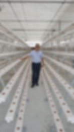 Mahmi-Greenhouse-hydroponic-cooling-qatar-shade-net- (19)
