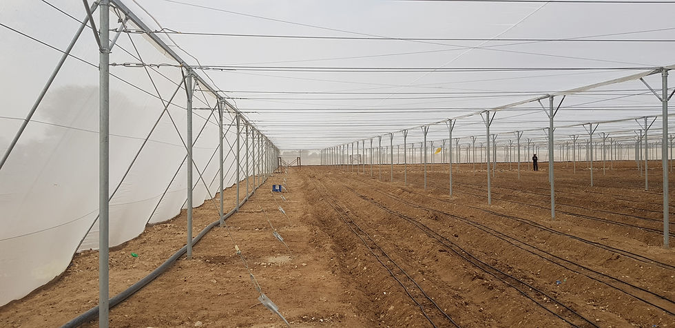 Net Greenhouse