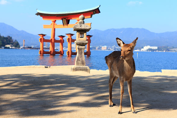 AdobeStock_29369154.jpeg