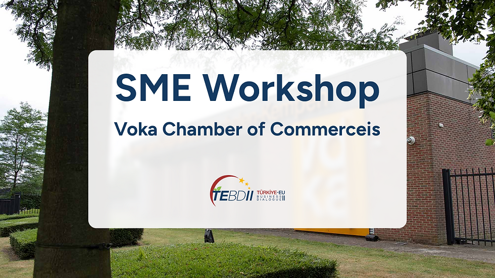 SME Workshop #3
