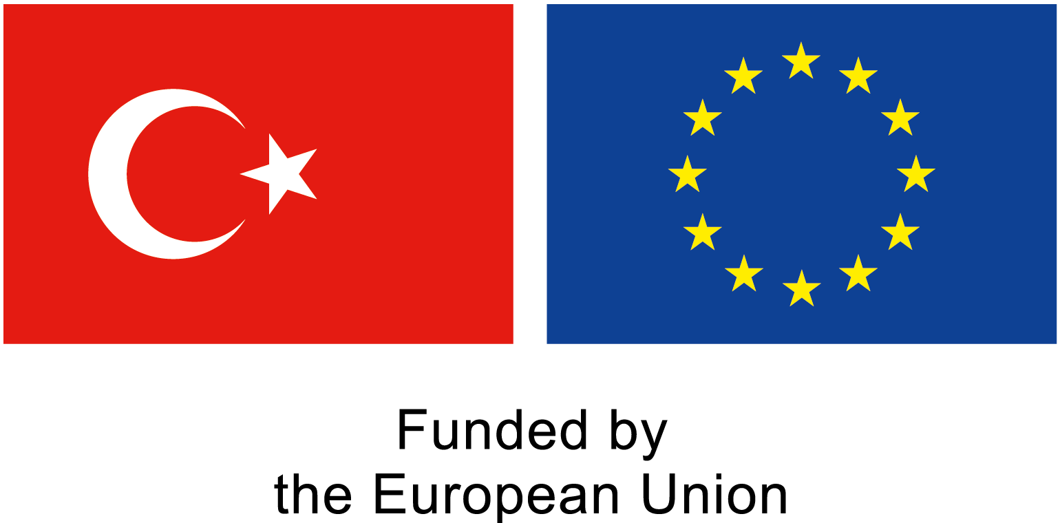 cropped-TR_EU_LOGOS_08032023_logo_black_en.png