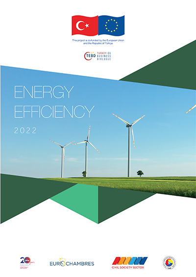 Energy Efficiency Audit – Final Report 2022 (English)