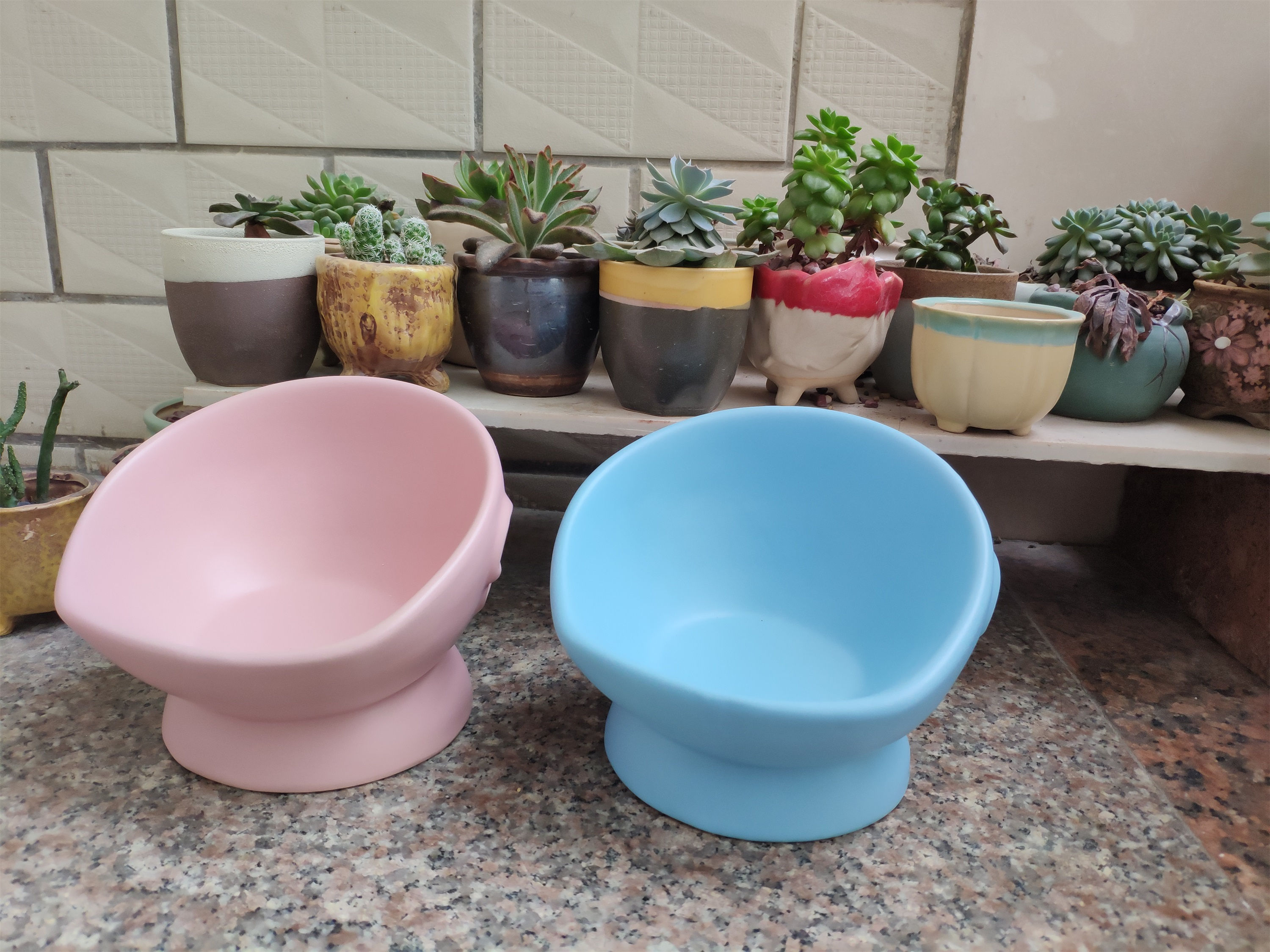 Raised Food/Water Dish