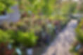 _MG_2629_edit.jpg