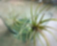 IMG-1598.jpg