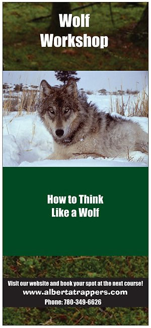 Wolf Front.jpeg