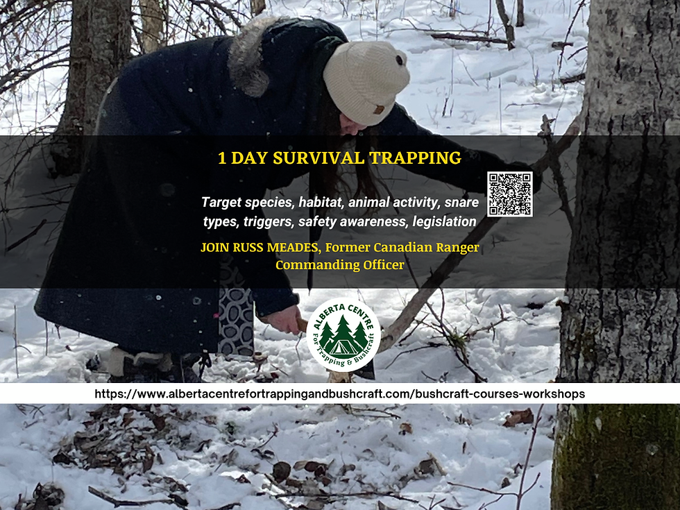 1 DAY SURVIVAL TRAPPING (1200 x 900 px) GOOGLE