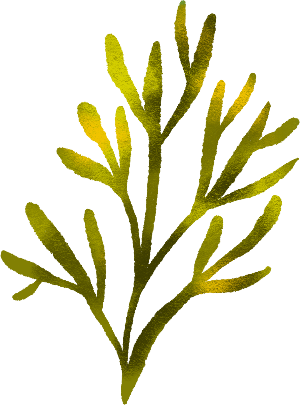 Illustration of pond vegetation