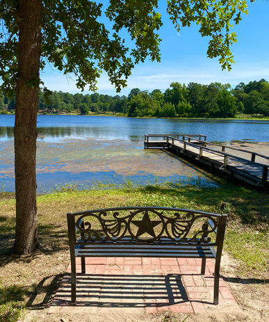 Iron bench at the water's edge of the lake.
