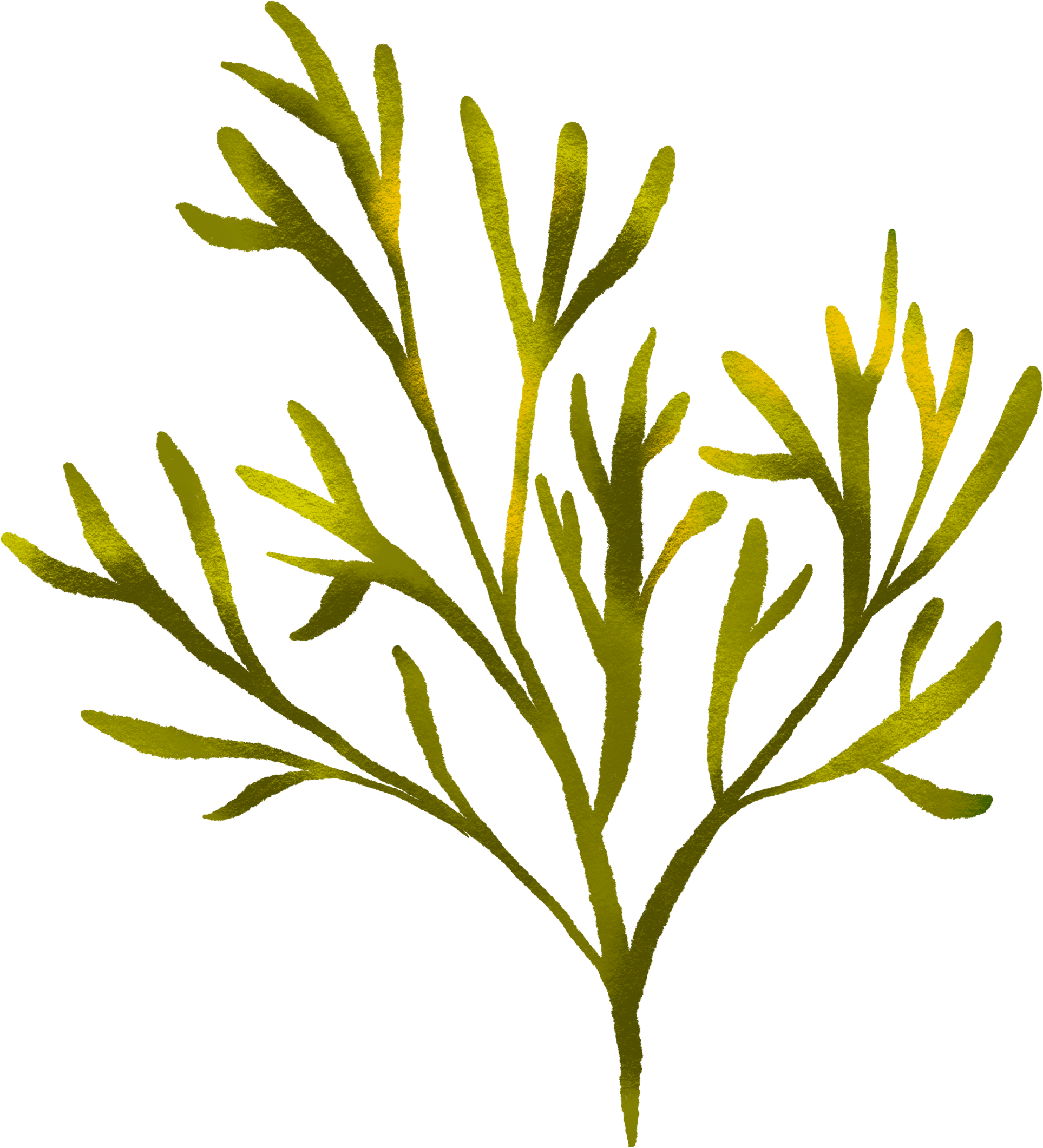 Illustration of pond vegetation