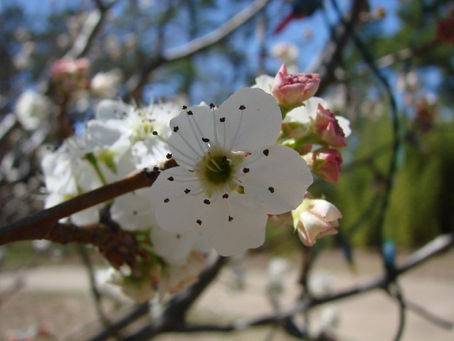 SPRING 2026 NEWSLETTER