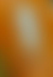 講談「伝承の会」のパンフレット