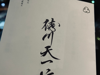 徳川天一坊パンフレット