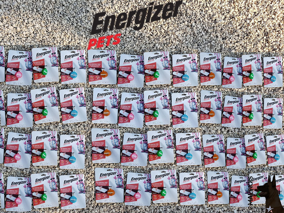 energizer1.jpg