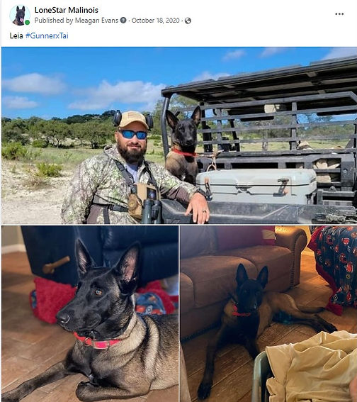 Screenshot 2023-08-08 174922.jpg