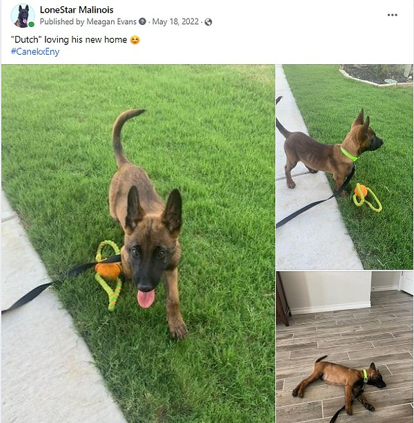 Screenshot 2023-08-12 180136.jpg