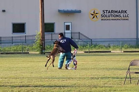 Belgian Malinois Breeder, Malinois Puppies For Sale, Trainer, Dog Obedience and Protection