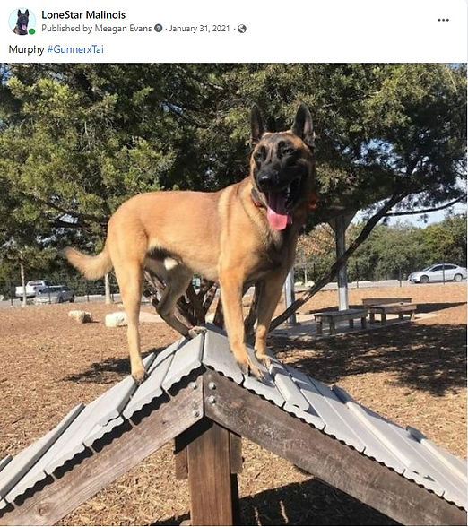 Screenshot 2023-08-08 112808.jpg